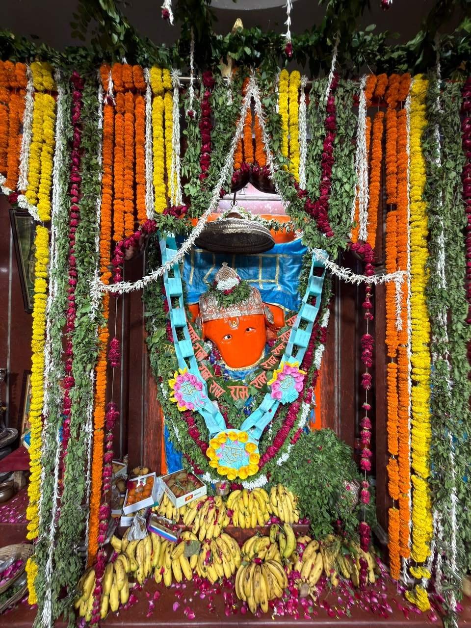 Sri Balaji Hanuman ji adorned with flower garlands